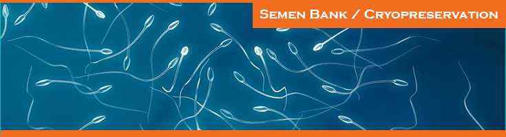 Semen-Bank-Cryopreservation in India