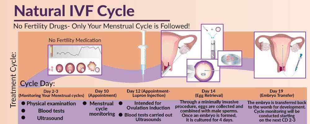 Sofat-Natural-IVF-Cycle